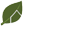 Lenoz certification