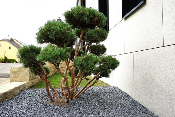 Résidence Phénix 2 - 7