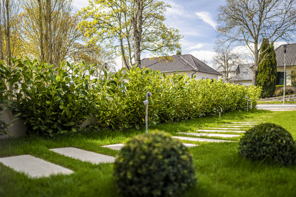 Résidence Alizée - 2